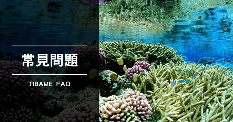 tibame常見問題