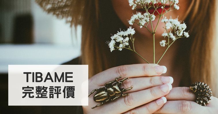 Tibame評價